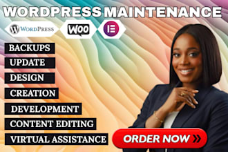 provide monthly maintenance and support for your wordpress website