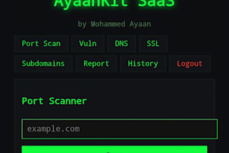 python automation script and web security audit