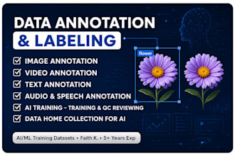 do image and video annotation, data labelling and bounding box