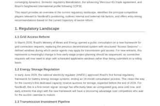 write a concise brazil market and political risk brief