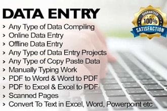 do professional data entry, copy paste, and fast typing job