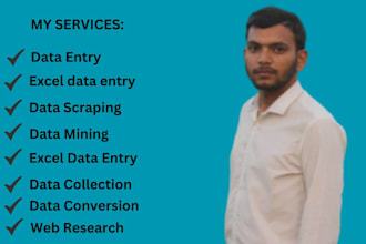 data entry, data scraping, copy and paste