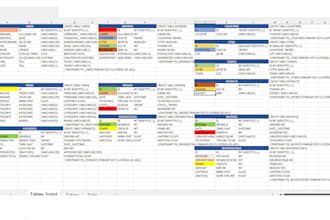clean and organize messy excel data, merge files, data entry