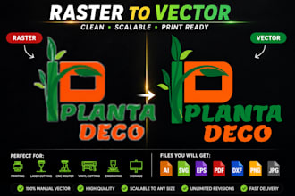 manually vectorize, enhance, edite, redraw or redesign your logo or image