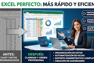 organizacion de datos en excel y asistente administrativa