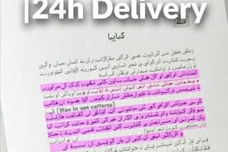 type urdu to english and convert PDF to word in 12 hours