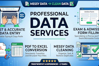 do professional data entry, excel data cleaning, typing, and form filling