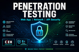 perform penetration testing on your website network and web application