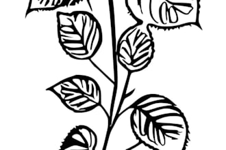 draw tattoo stencil ready artwork