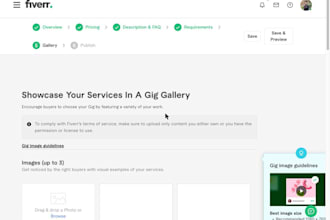 build a professional shopify store with custom design and development