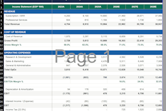 build a professional financial model and business plan for your company
