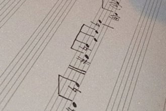 make a very detailed transcription for bass or guitar, sheet music and tabs