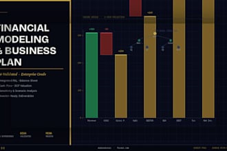 build a professional dcf valuation model and company valuation report