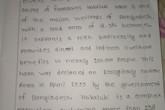 anything with my beautiful handwriting