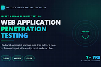 do web application penetration testing with detailed report