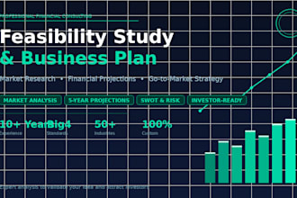 build a professional feasibility study and business plan for your project