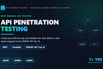 perform API penetration testing and security assessment