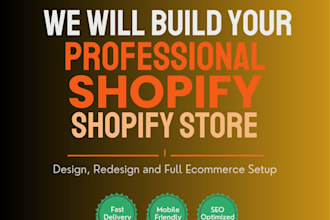 build a professional shopify website