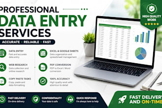 accurate data entry and excel data management