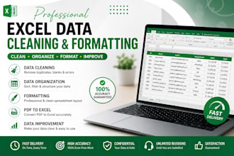 excel spreadsheet cleaning and organization