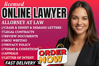 do professional legal research, lawsuit drafting, and litigation support