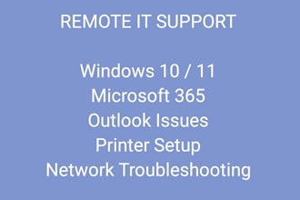 provide a remote IT support