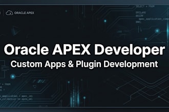 develop a custom oracle apex application for your business