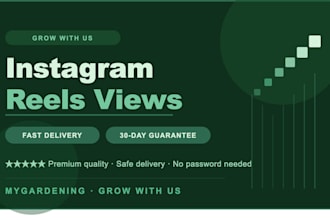boost your instagram reels views fast with guaranteed retention