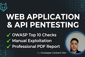 do professional web application and API penetration testing