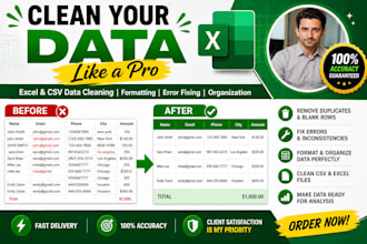 clean, organize, merge and format excel or CSV data