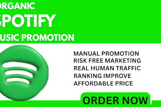 do email marketing campaign to promote spotify music promotion