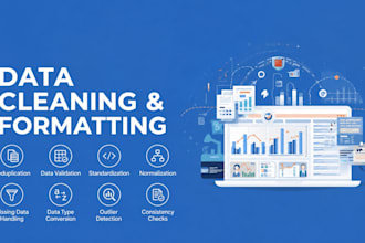 professionally clean and format unorganized messy data
