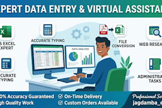 be your professional data entry specialist excel expert and virtual assistant