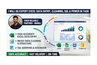 do expert excel data entry, data cleaning, sql, and power bi tasks