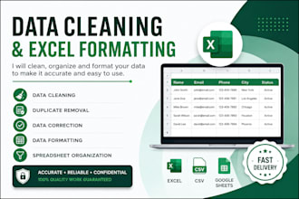 clean, format and fix your excel or CSV data