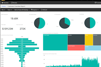 create power bi dashboards and reports for your business