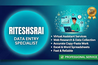 be your professional virtual assistant for data entry and admin task