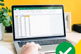 do fast and accurate data entry typing and excel work
