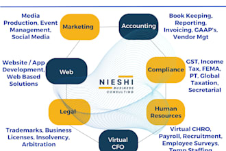 be your virtual cfo for all accounting, tax, compliance need