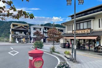 be your professional photographer in tokyo for street and scenic photos