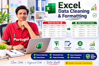 do excel data cleaning and excel data analysis and dashboard