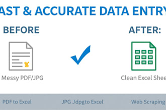 process excel sheet and PDF data entry past