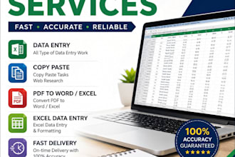 do accurate data entry, copy paste and typing work