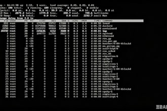 deploy and manage linux servers