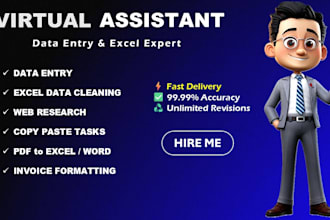 do expert excel data entry, copy paste and web research