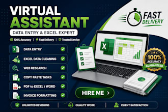 be your virtual assistant for data entry and excel tasks
