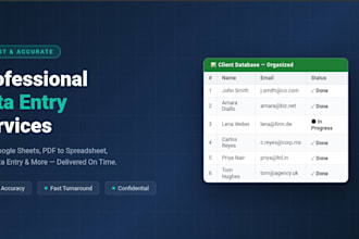 do professional excel data entry, PDF to word, and web research