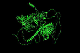 molecular docking, virtual screening and protein ligand interaction analysis