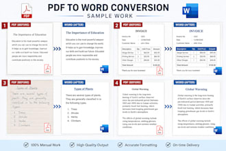 convert PDF to word manually and accurately