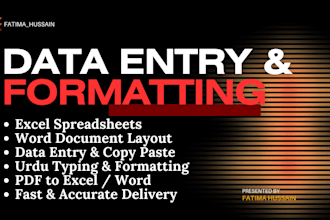 do professional data entry, microsoft excel and word document formatting